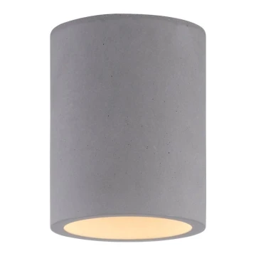 Paul Neuhaus 6160-22 - Spotlampe ETON 1xGU10/10W/230V beton