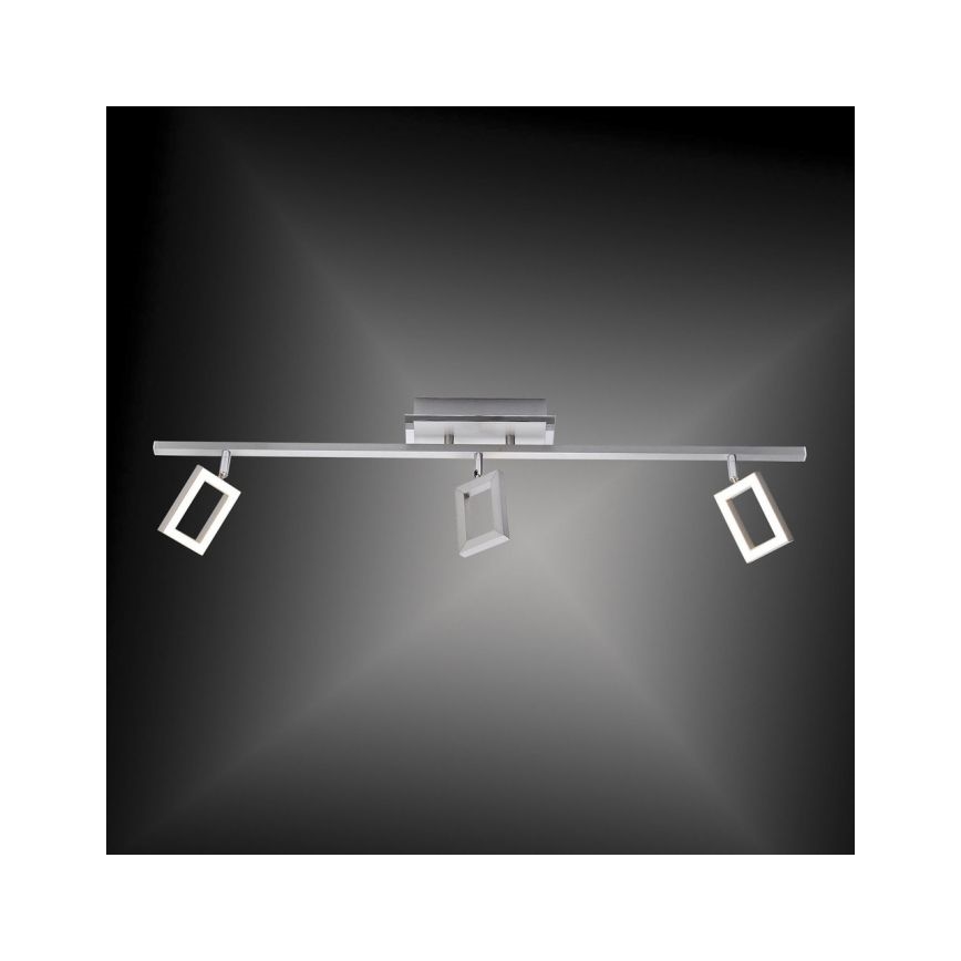 Paul Neuhaus 6959-55 - LED spotlampe INIGO 3xLED/4,2W/230V