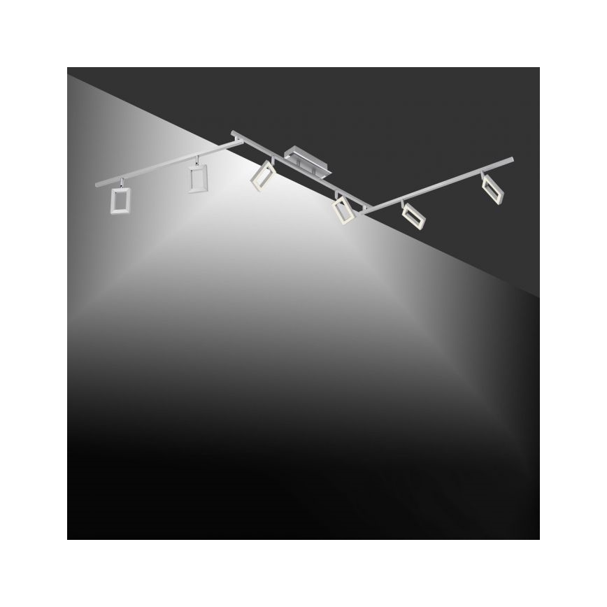 Paul Neuhaus 6965-55 - LED spotlampe dæmpbar INIGO 6xLED/4W/230V