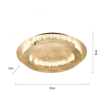 Paul Neuhaus 9621-12 - LED loftlampe NEVIS LED/24W/230V