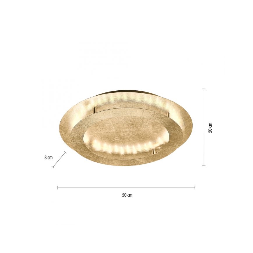 Paul Neuhaus 9621-12 - LED loftlampe NEVIS LED/24W/230V