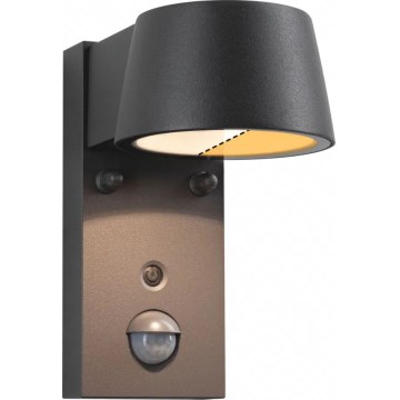 Paulmann 94714 - LED/6W IP44 Udendørs væglampe med sensor CAPERA 230V 2200/3000K