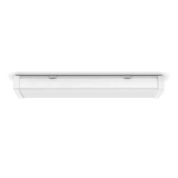 Philips 31248/31/P0 - LED arbejdslampe AQUALINE LED/24W/230V IP65