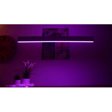 Philips – LED pendel Hue ENSIS White And Colour Ambiance 2×LED/39W/230V