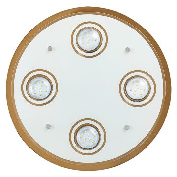 Rabalux - LED loftsbelysning 4xGU10/5W/230V