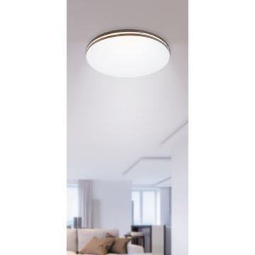 Rabalux - LED loftsbelysning 1xLED/18W/230V