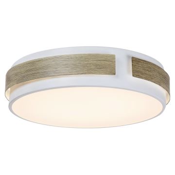 Rabalux - LED lysdæmper loftslampe LED/24W/230V