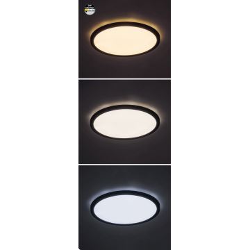 Rabalux - LED loftlampe LED/24W/230V 3000/4000/6000K diameter 29 cm sort