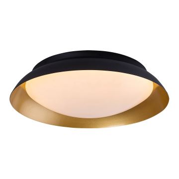 Rabalux - LED loftlampe LED/24W/230V 3000K diameter 40 cm