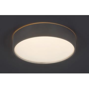 Rabalux - LED loftlampe LED/18W/230V IP44 4000K sølvfarvet diameter 28 cm