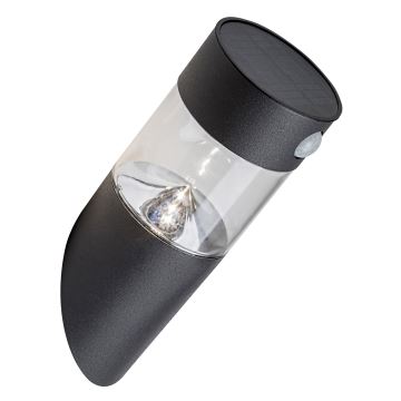 Rabalux - LED solcellelampe med sensor LED/1,5W/3,7V IP44