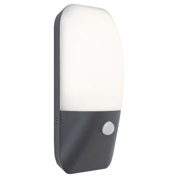 Rabalux - Udendørs LED væglampe med sensor LED/11W/230V IP54 4000K