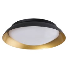 Rabalux - LED loftlampe LED/20W/230V 3000K diameter 30 cm