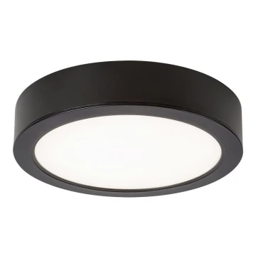 Rabalux - LED loftlampe til badeværelse LED/24W/230V diam. 22 cm IP44