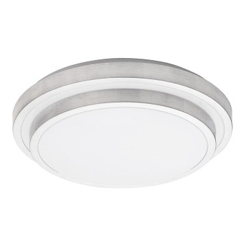 Rabalux - LED loftsbelysning LED/24W/230V