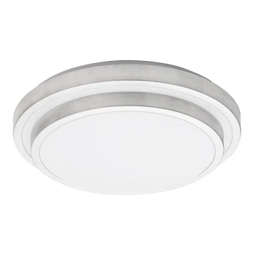 Rabalux - LED loftsbelysning LED/24W/230V