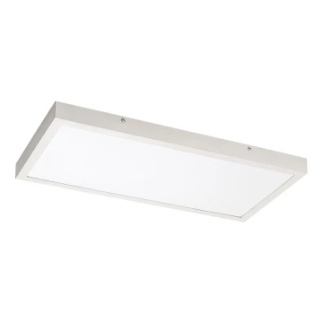 Rabalux - LED panel LED/24W/230V 4000K 60x30 cm