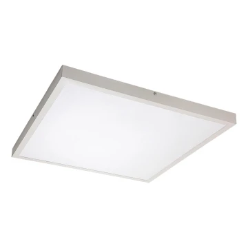 Rabalux - LED panel LED/40W/230V 4000K 60x60 cm