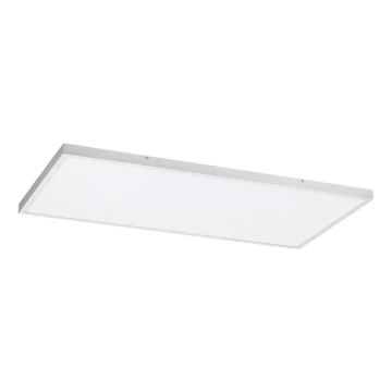 Rabalux - LED panel LED/80W/230V 4000K 120x60 cm