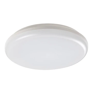 Rabalux - Udendørs LED loftslampe LED/24W/230V IP64