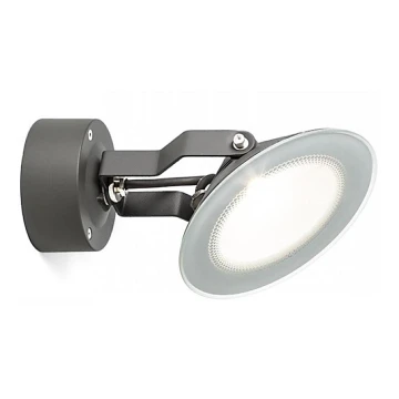 RED - Design Rendl - R11753 - Udendørs LED væglampe FOX LED/9W/230V IP65