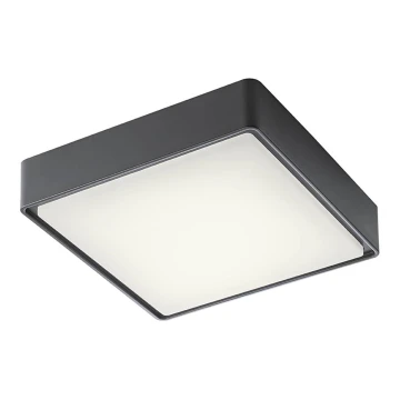 Redo 90157 - Udendørs LED loftslampe MARINA 1xLED/12W/230V IP65