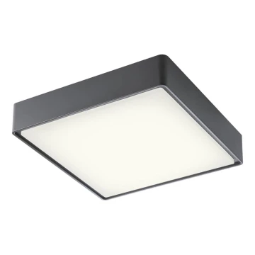 Redo 90158 - Udendørs LED loftslampe MARINA 1xLED/16W/230V IP65