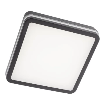 Redo 90292 - Udendørs LED loftlampe med sensor ISOLA LED/24W/230V 3000/4000/6500K IP54