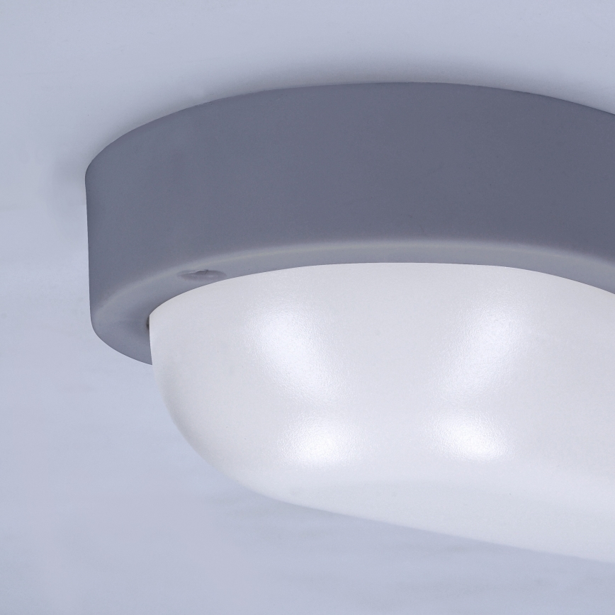 Udendørs LED væglampe LED/13W/230V 4000K IP54 grå oval