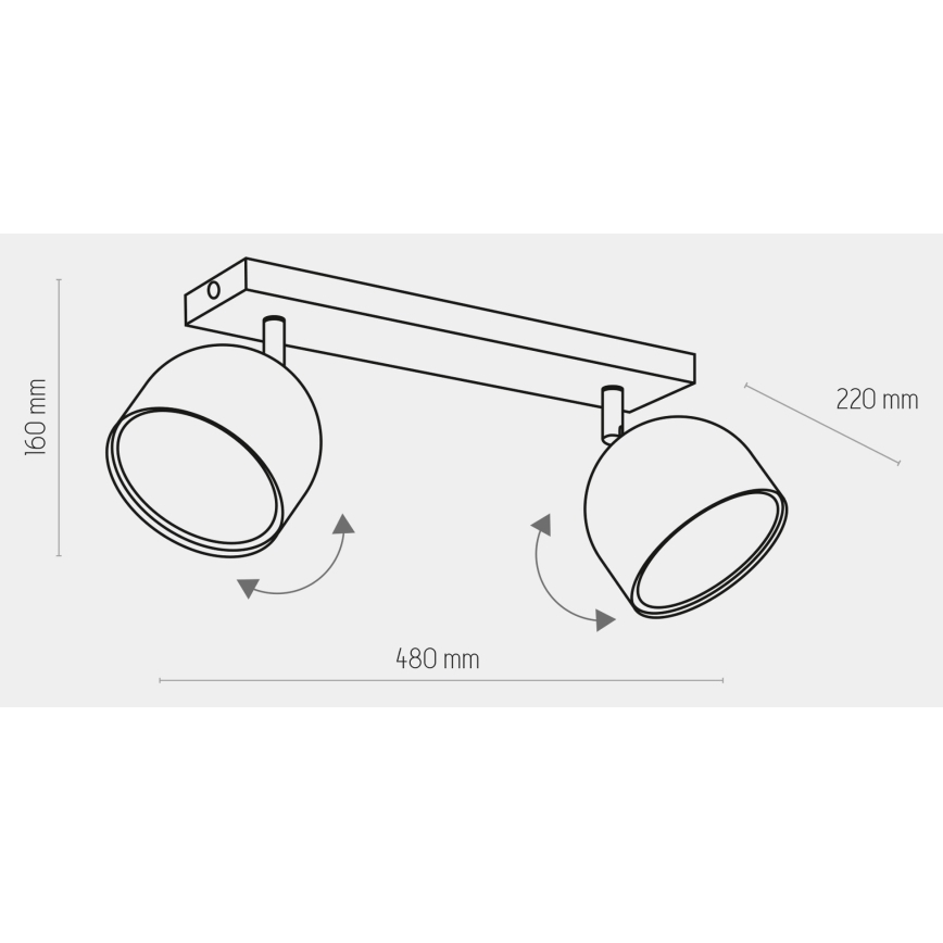 Spotlampe ALTEA 2xAR111 GU10/50W/230V hvid