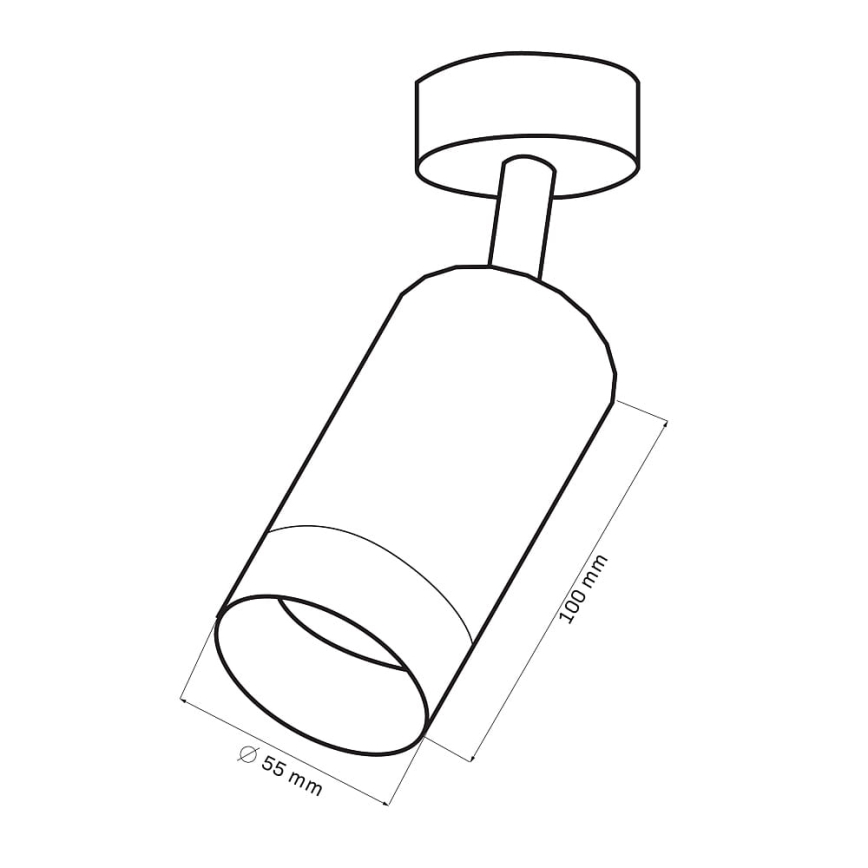 Spotlampe ARRAS 1xGU10/10W/230V hvid