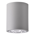 Spotlampe JUPITER 1xE27/20W/230V diameter 9,8 cm grå