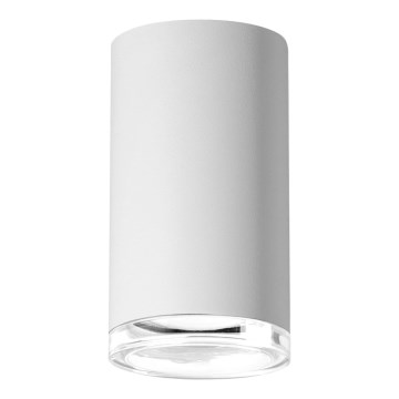 Spotlampe til badeværelse TURYN 1xGU10/10W/230V IP44 hvid
