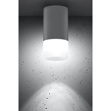 Spotlampe TUBA 1xGU10/15W/230V grå/hvid
