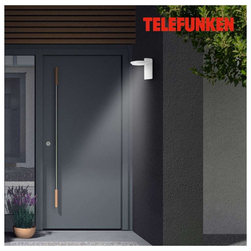 Telefunken 312406TF - Udendørs LED væglampe LED/10W/230V IP44