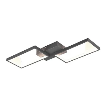 Trio - LED loftlampe dæmpbar CAFU 2xLED/7W/230V