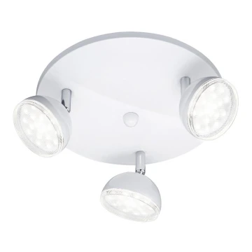 Trio - LED spotlampe BOLOU 3xLED/3,8W/230V