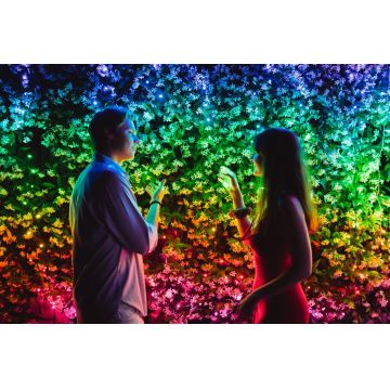 Twinkly - LED RGB Dæmpbar udendørs julekæde STRINGS 100xLED 11,5 m IP44 Wi-Fi