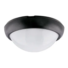 Udendørs LED loftlampe LED/12W/230V IP54