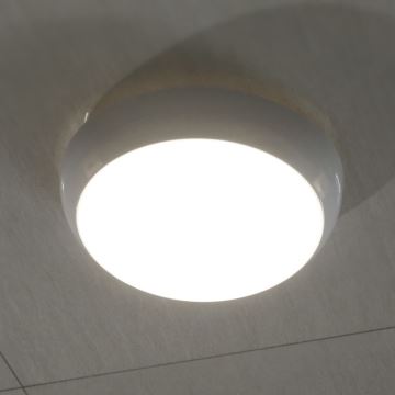 Udendørs LED loftlampe LED/8W/16W/20W/230V IP65 3000/4000/6500K