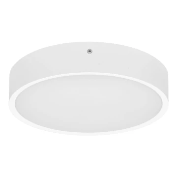 Udendørs LED loftlampe MARTIN LED/15W/230V 3000/4000K diameter 30 cm IP65 hvid