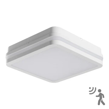 Udendørs LED loftlampe med sensor BENO LED/18W/230V 4000K IP54 hvid