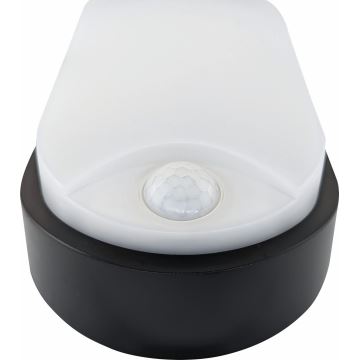 Udendørs LED loftlampe med sensor LED/14W/230V IP54 sort