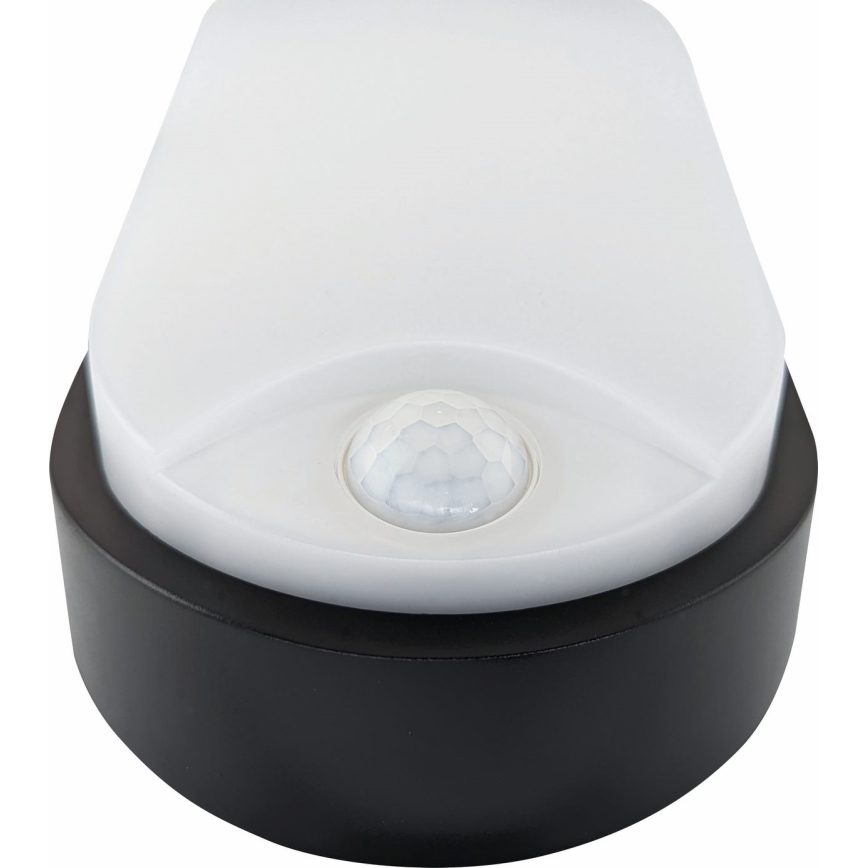 Udendørs LED loftlampe med sensor LED/14W/230V IP54 sort