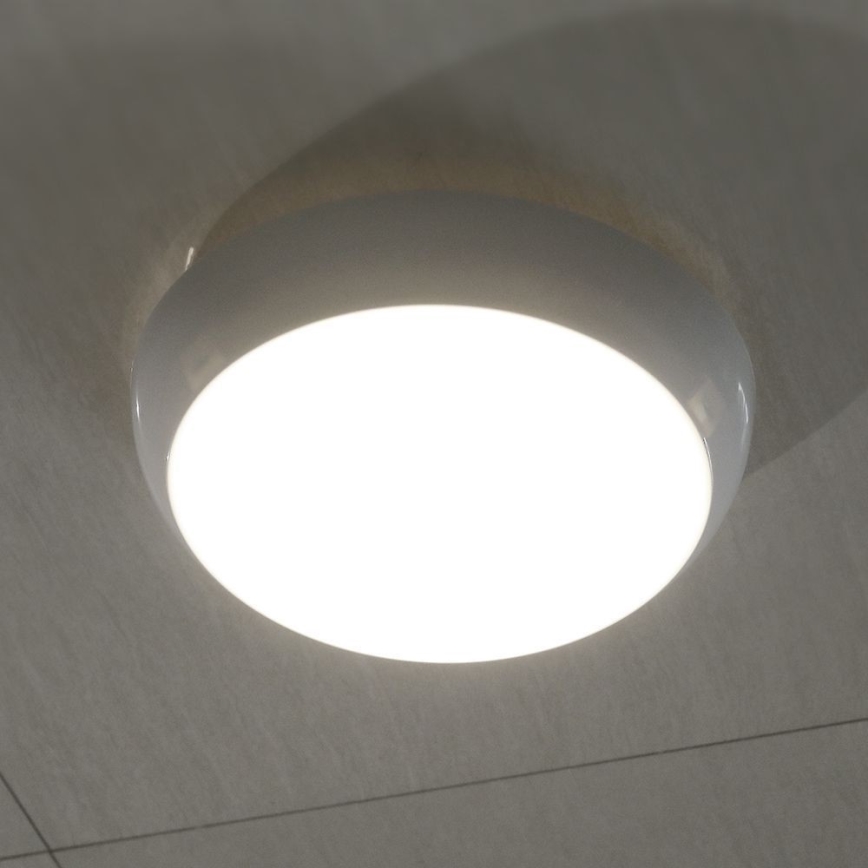 Udendørs LED loftlampe med sensor LED/8W/16W/20W/230V IP65 3000/4000/6500K