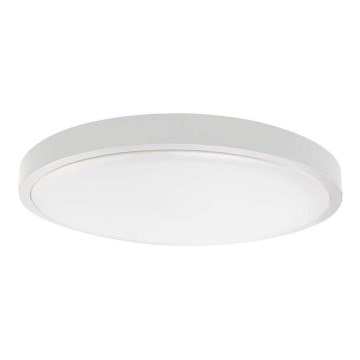 Udendørs LED loftlampe med sensor LED/24W/230V 6500K IP44 hvid