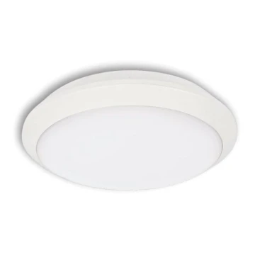 Udendørs LED loftslampe TIPO LED/24W/230V IP66