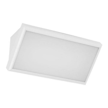 Udendørs LED væglampe LED/12W/230V 6400K IP65 hvid