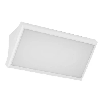 Udendørs LED væglampe LED/20W/230V 3000K IP65 hvid