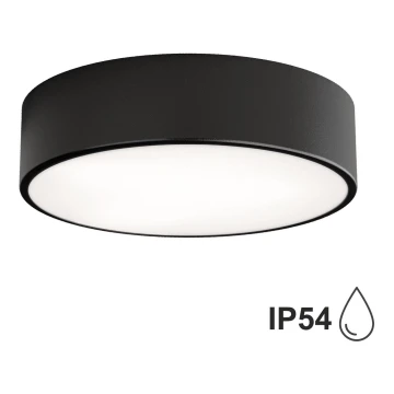 Udendørs loftlampe med sensor CLEO 2xE27/24W/230V diam. 30 cm IP54 sort